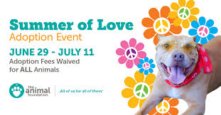 Or looking for something different? Animal Shelter And Low Cost Vet Clinic The Animal Foundation