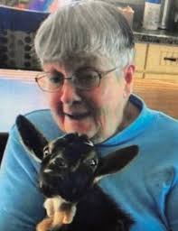 Mary N. Michael Obituary (2023)