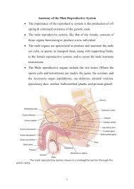 Glomerular diseases presenting as nephrotic syndromes are characterized glomeruli inflammation. Nursing Intervention