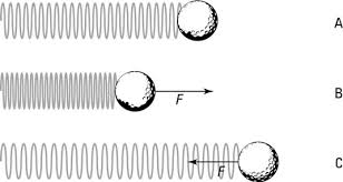 How To Calculate A Spring Constant Using Hooke S Law Dummies