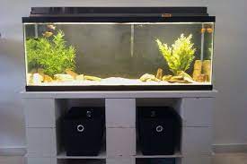 Well, ive decided to build my own stand for our 55 gallon tank that we plan on converting to a marine reef. Diy Cinder Block Aquarium Stand Think About This A 55 Gallon Aquarium By Aspen Hollyer Medium