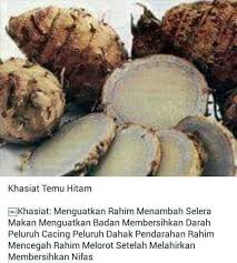 Pin Oleh Wiwik Di Bodyfit Resep Diet Sehat Obat Alami Resep Diet