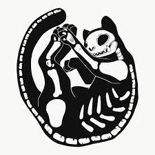 Black Cat Skeleton Matte Art Print Poster In 2020 Cat Skeleton Cat Tattoo Skeleton Drawings