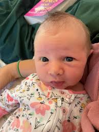 Hy-Phyve Appendix Head. "Happy Appy" for short. We are all smitten! 💞👧🏼