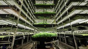 Many people think of it as an alkashard factory. Vertical Farming Start Up Aerofarms To List At 1 2bn Valuation In Spac Deal Financial Times