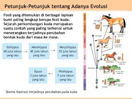 Setiap makhluk hidup di dunia ini memiliki penampakan fisik (fenotip) yang dikendalikan oleh rangkaian perintah kimia. Bab 7 Evolusi Xii Sma Ipa