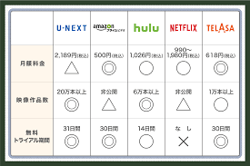 注目のインターネット動画配信サービス10選 | 映像制作・動画制作ならライズビデオエイティ