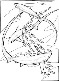 Some of the coloring page names are get this hammerhead shark coloring 88410, great hammerhead shark coloring for both, hammerhead shark coloring, ocean coloring under the sea, shark color activity shelter, 23 hammerhead shark coloring in, hammerhead coloring at, hammerhead shark coloring at, cartoon shark coloring at. Shark Coloring Pages