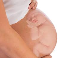 Indonesia merupakan negara kepulauan yang tidak hanya dilimpahi keindahan alam. Lono Apakah Ini Makna Kata Kata