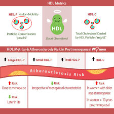 Hdl High Density Lipoprotein Metrics And Atherosclerotic Risk In Women Arteriosclerosis Thrombosis And Vascular Biology