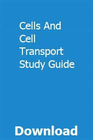 Cells And Cell Transport Study Guide Financial Literacy Study Guide Literacy
