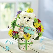Maybe you would like to learn more about one of these? 1 800 Flowers Party Pooch Tucson Az
