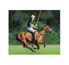 Find horses for sale on the leading international horse market ehorses ✓ more than 17000 horse advertisements ✓ more than 300 new horses daily. Polo Abierto Argentino De Palermo Spirit Of Polo Equestrian Argentina Polo