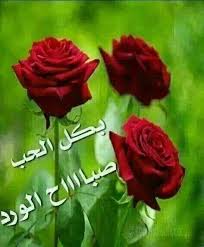 أكتبك ليقرأني غيرك Posts Facebook