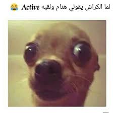 Pin On تسالي فرفشه ضحك فكاهة مسخرة فله ألش تحشيش فرفشه اﻻبتسامات نكت وناسه هبل جنان طرائف كوميدي قفشات Hilarious Funny Lol Nokat Comics Gags Du