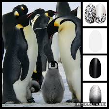 Which Would You Choose Interactive Post In 2020 Color Street Color Street Nails Glamour Nails