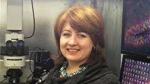 Seth Ogden's Instagram, Twitter & Facebook