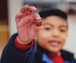 CAC_8.5x11_AnnualReport2017 (Conflicted copy from Alexandra FitzGerald's  MacBook Pro