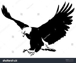 Black And White Eagle Painting Black And White Linear Paint Draw Eagle Bird Illustration Painting Drawing Illustration Drawings