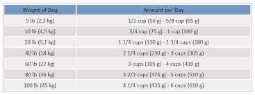 How Much Should Dogs Eat Calculate How Much To Feed Your Dog Petmd Dog Health Problems Dogs Dog Eating