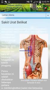 Sebagian besar sakit pinggang disebabkan oleh trauma punggung bawah atau gangguan seperti sciatica dan artritis. Mynyasmin On Twitter It S Hurt Https T Co Xj9mfu5nwq