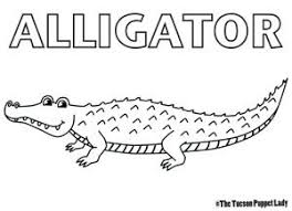 Realistic alligator coloring pages alligator are amphibians that have a very close kinship with crocodiles, so close, physically, they are also very similar. Free Alligator Coloring Page The Tucson Puppet Lady