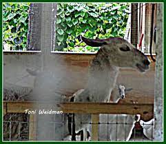 You can browse through all 1 job forest glen lodge has to offer. Forest Glen Lodge In New Port Richey And A Taste Of Wine