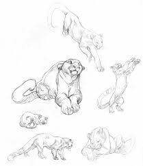Academy Of Art Character And Creature Design Notes Claire Wendling S Cats Mountain Lion Animal Drawings Concept Art Drawing Animal Sketches