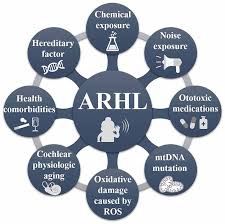 Check spelling or type a new query. Frontiers Screening Tools And Assessment Methods Of Cognitive Decline Associated With Age Related Hearing Loss A Review Frontiers In Aging Neuroscience