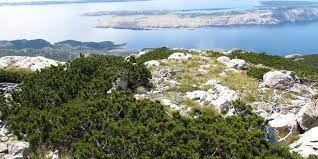 Nacionalni park sjeverni velebit) is a national park in croatia that covers 109 km2 of the northern section of . Nationalpark Velebit Kroatien Besucher Und Anreiseinfo