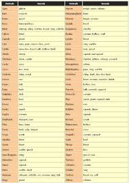 Cries Of Animals Learn English Words Learn English English Phrases