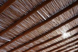 Bamboo truss design for roofing. Bamboo Roof Photograph By Jeremy Woodhouse