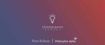 Ely gold rises 35 percent on acquisition news. Champignon Brands Changes Name To Braxia Scientific To Reflect The Integration Of Ketamine And Psychedelic Clinics And Its Research And Development Priorities Psilocybin Alpha