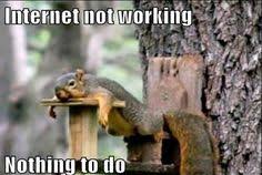 Pictures of funny animal quotes, funny animal quotes for friends pinterest pictures, funny animal quotes facebook. For More Funny Animal Quotes Visit Www Bestfunnyjokes4u Com Lol Funny Cat Pic Honey