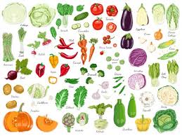 The healthy food items are quite easy to prepare, and you can easily prepare that at home. Free Healthy Food Vectors 68 000 Images In Ai Eps Format