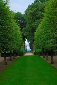 From the time chase came to how to find the best landscape designers near you. Broward Landscape Design Browardland Profile Pinterest