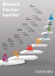 Biotech Career Ladder Biotech Job Positions Salary Details Biotechnology Careers Biotechnology Jobs Career