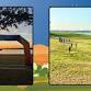 Trailway Trail Race