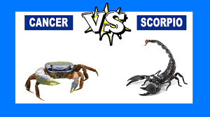 Cancerian's are one of the calmest, composed and silent people you will ever come across. Cancer Vs Scorpio Who Is The Strongest Zodiac Sign Youtube