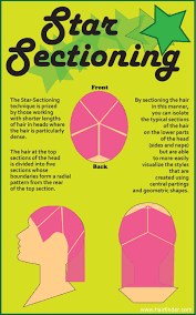 Star Sectioning Pinwheel Hair Color Hair Techniques Parting Hair