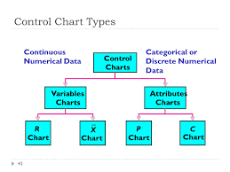 Total Quality Management Ppt Video Online Download