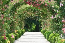 3d Flower Tunnel Wall Mural Floral Wall Covering Flower Etsy Rose Garden Landscape Garden Garden Design
