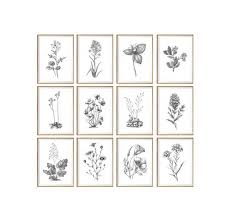 Black And White Botanical Prints Framed Botanical Print Botanical Art Botanical Print Set Botanical Chart Black And White Botanical Scandinavian Design Scandinavian Print Set Framed Botanical Prints Art Print Set Botanical Prints