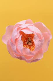 Step7 Papetal Paper Peony Paper Peonies Handmade Flowers Paper Paper Peony Diy