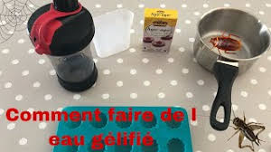 Comment Faire De L Eau Gelifie Youtube
