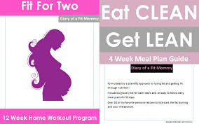 pregnancy meal plan fitness nutrition