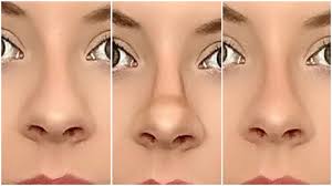 How to contour your nose. How To Make Your Nose Look Smaller