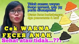 Anda harus tenang dulu karena warna hijau pada feses bayi bisa disebabkan banyak hal. 40 Jenis Warna Najis Bayi Cute766