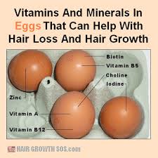 Such hair loss also coincides with new hair beginning to regrow and therefore the hair loss is transient. Vitamins For Thinning Hair Hair Loss And Hair Growth
