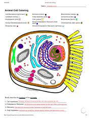Check spelling or type a new query. Plant Cell Coloring Answer Key Lovely Biology Corner Plant Cell Coloring Sheet Of Plant Cell Colorin Plant Cell Coloring Name Cell Membrane Orange Course Hero